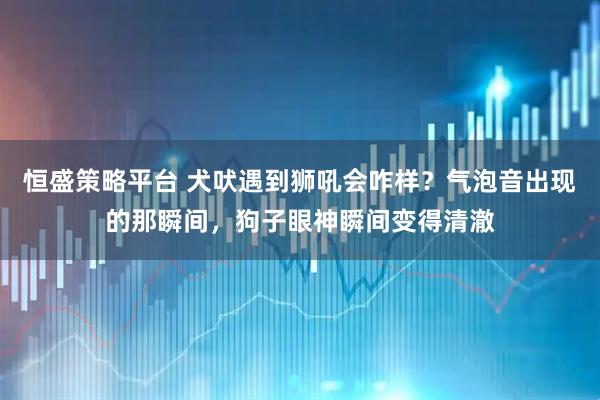 恒盛策略平台 犬吠遇到狮吼会咋样？气泡音出现的那瞬间，狗子眼神瞬间变得清澈