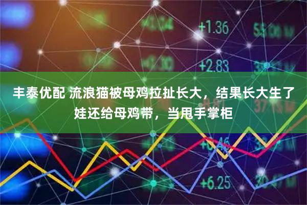 丰泰优配 流浪猫被母鸡拉扯长大，结果长大生了娃还给母鸡带，当甩手掌柜