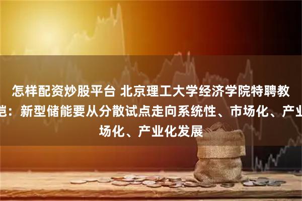 怎样配资炒股平台 北京理工大学经济学院特聘教授李金铠：新型储能要从分散试点走向系统性、市场化、产业化发展