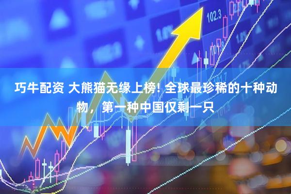 巧牛配资 大熊猫无缘上榜! 全球最珍稀的十种动物，第一种中国仅剩一只