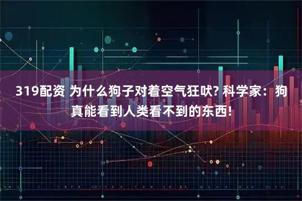 319配资 为什么狗子对着空气狂吠? 科学家：狗真能看到人类看不到的东西!