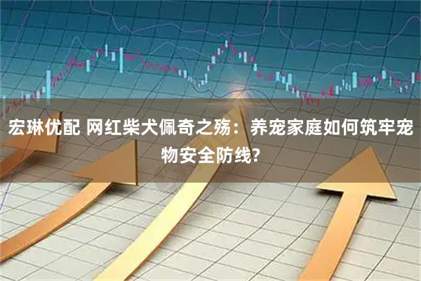 宏琳优配 网红柴犬佩奇之殇：养宠家庭如何筑牢宠物安全防线?