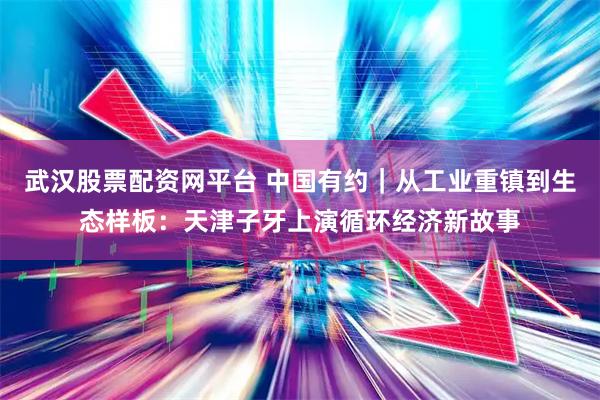 武汉股票配资网平台 中国有约｜从工业重镇到生态样板：天津子牙上演循环经济新故事