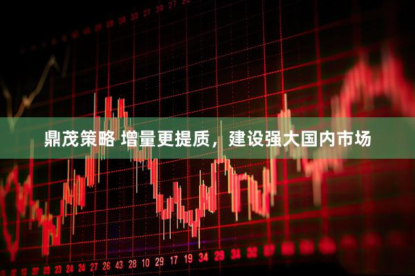 鼎茂策略 增量更提质，建设强大国内市场
