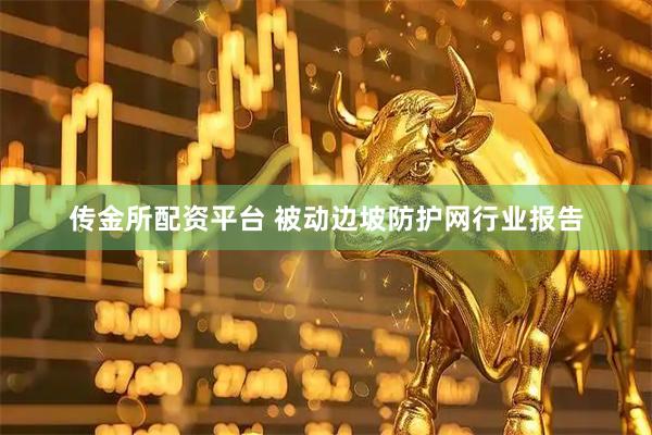 传金所配资平台 被动边坡防护网行业报告