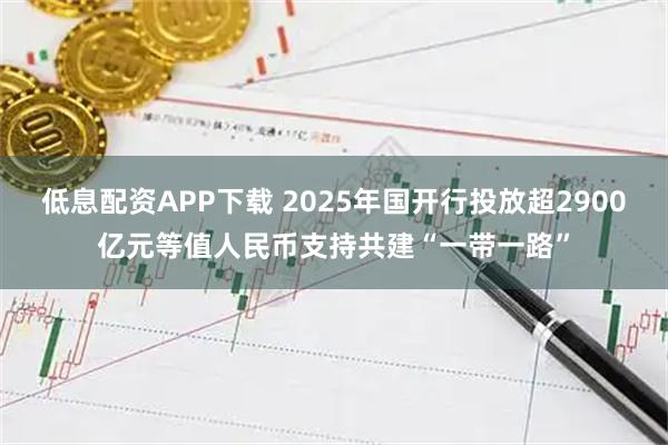 低息配资APP下载 2025年国开行投放超2900亿元等值人民币支持共建“一带一路”