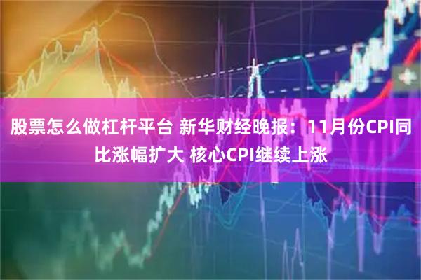 股票怎么做杠杆平台 新华财经晚报：11月份CPI同比涨幅扩大 核心CPI继续上涨